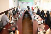 برگزاری دومین جلسه شورای هفت نفره معاونت درمان 