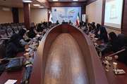 نشست آموزشی و هم اندیشی سوپروایزران آموزش به بیمار بیمارستان های دولتی و غیر دولتی تحت پوشش دانشگاه