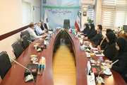 اولین جلسه کمیته تخصصی پژوهش در معاونت درمان 