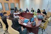 جلسه برگزاری دومین نشست تخصصی جهت یکپارچه ‌سازی فرمت پرونده بیماران سکته مغزی (کد 724)