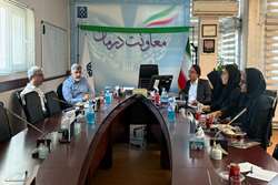 نشست هم اندیشی درخصوص حذف کاغذ غیرضروری در پرونده های پزشکی و الکترونیک کردن اوراق بیمارستانی