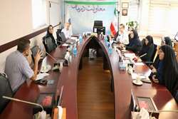 برگزاری دومین جلسه شورای هفت نفره معاونت درمان 