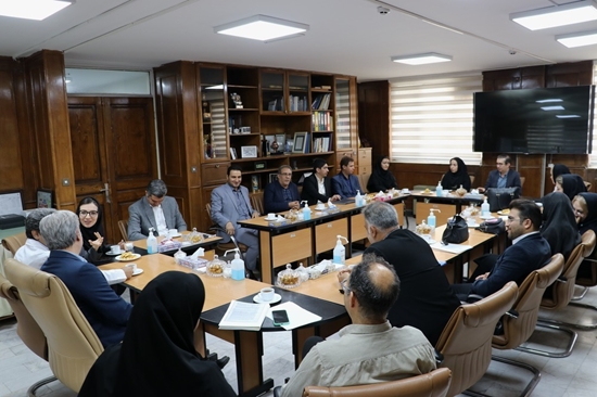 بازدید از بخش های برونسپاری شده بیمارستان های رازی و روزبه 